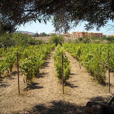 فندق فاليدوريافي  Agriturismo Crabileddu المظهر الخارجي الصورة