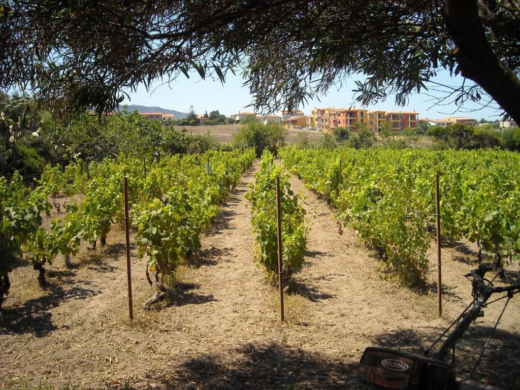 فندق فاليدوريافي  Agriturismo Crabileddu المظهر الخارجي الصورة